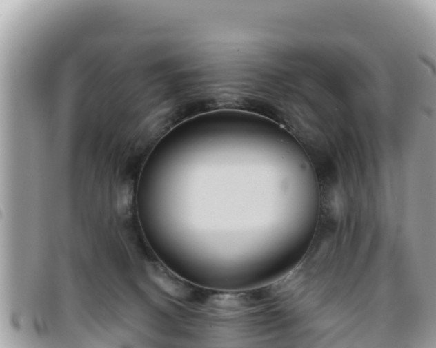 X0000095920082200801181427