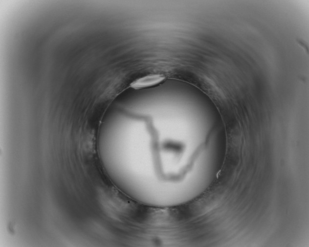 X0000095920083200801181427