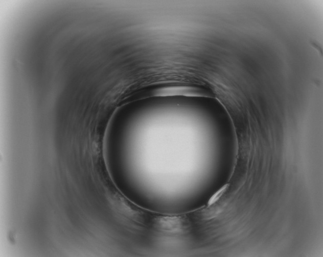 X0000095920085200801181427