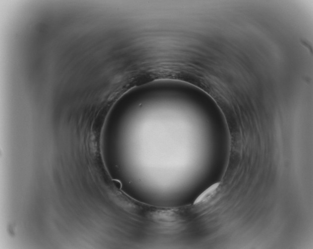 X0000095920086200801181427