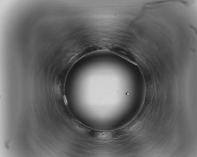 X0000095920088200801181427