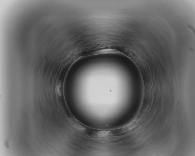 X0000095920090200801181427