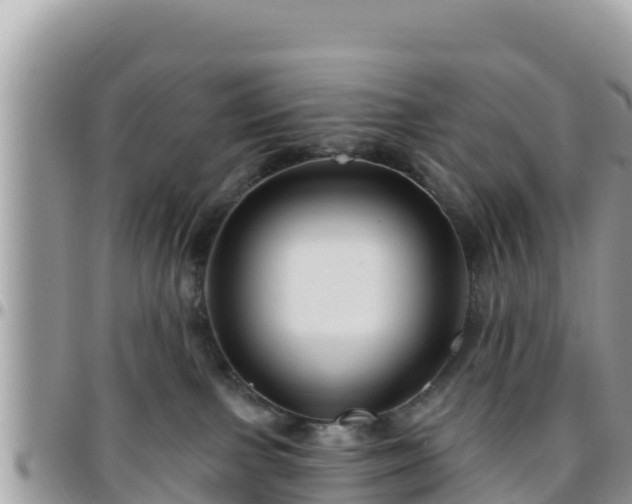 X0000095920091200801181427