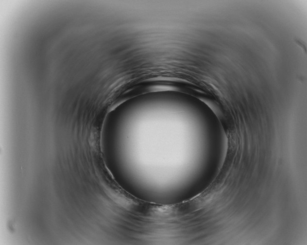 X0000095920092200801181427