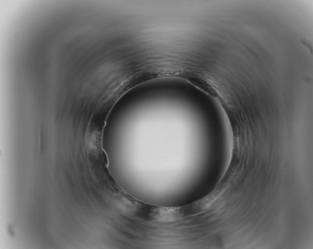 X0000095920093200801181427