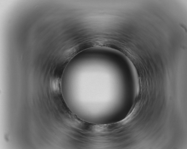 X0000095920094200801181427