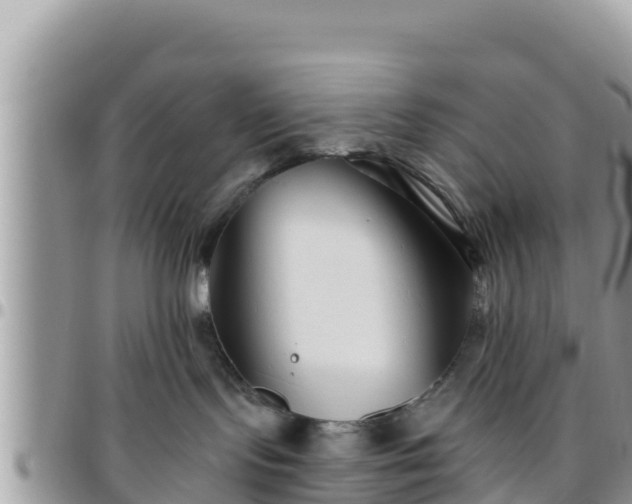 X0000095920095200801181427