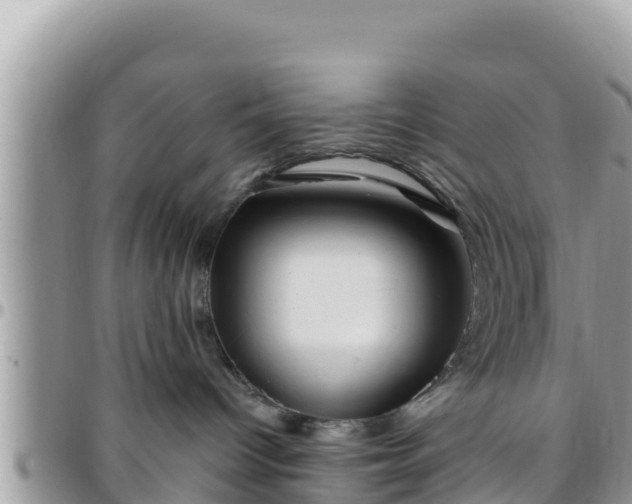 X0000095920096200801181427