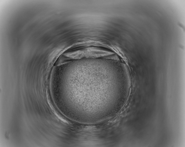 X0000095920097200801181426