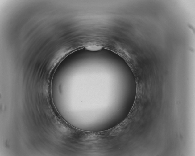 X0000095920098200801181426