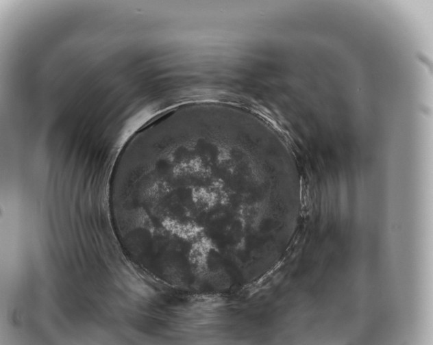 X0000095920099200801181426