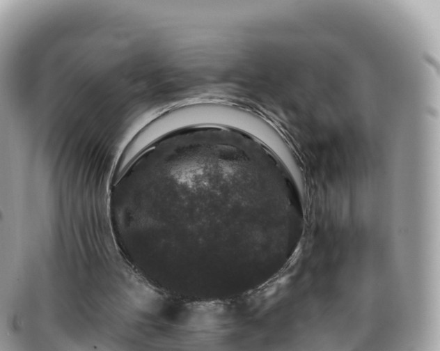 X0000095920100200801181426