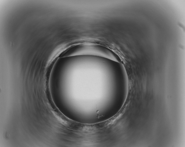 X0000095920101200801181426