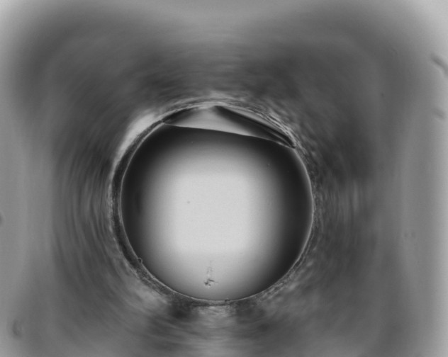 X0000095920102200801181426