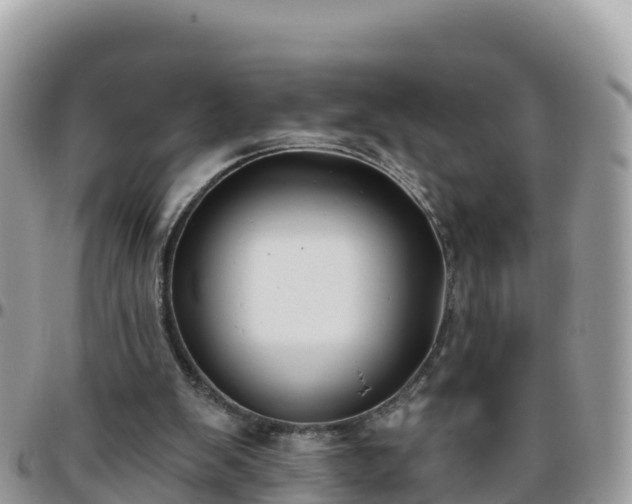 X0000095920103200801181426