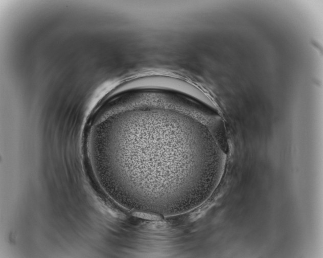 X0000095920104200801181426