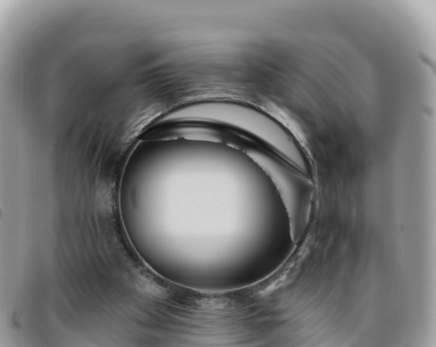 X0000095920105200801181426