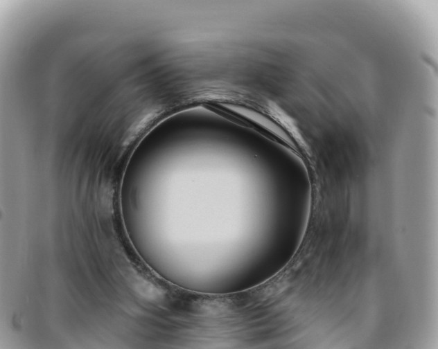 X0000095920106200801181426