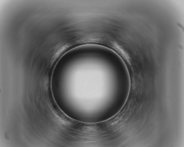 X0000095920107200801181426