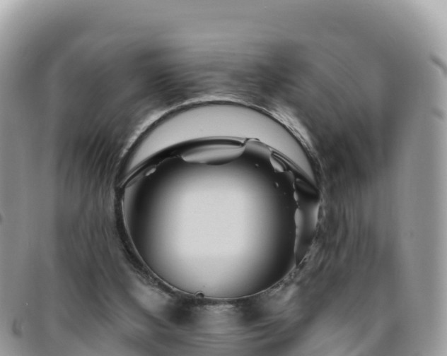 X0000095920108200801181426