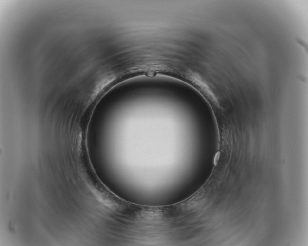 X0000095920110200801181426