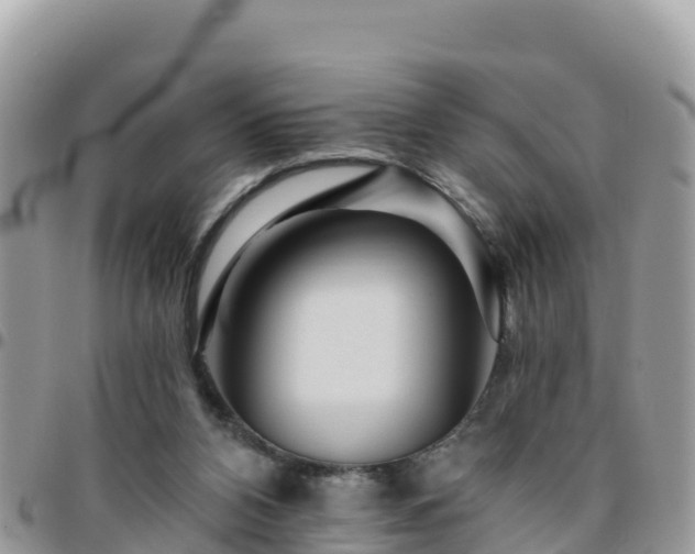 X0000095920112200801181426