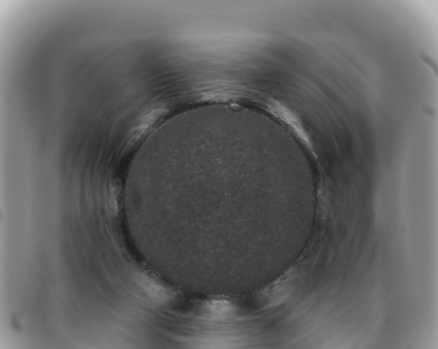 X0000095920114200801181426