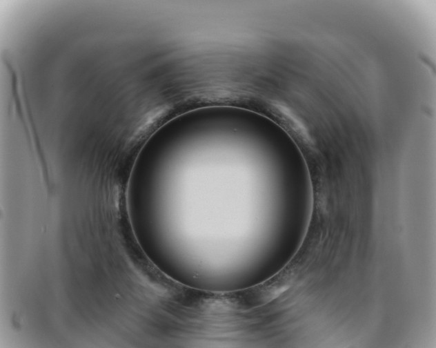 X0000095920115200801181426