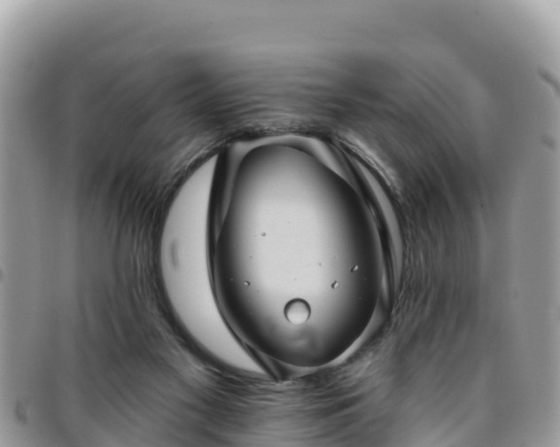 X0000095920117200801181426