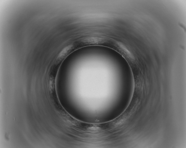 X0000095920119200801181426