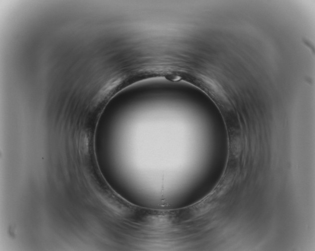 X0000095920120200801181426