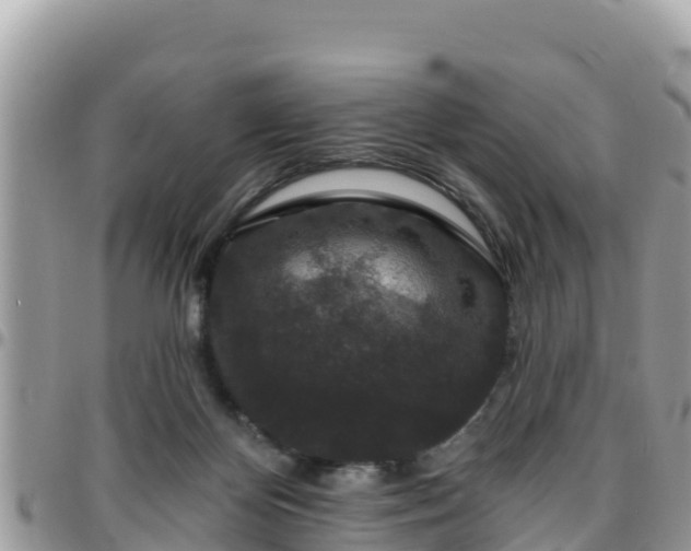 X0000095920124200801181426