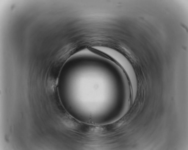 X0000095920125200801181426