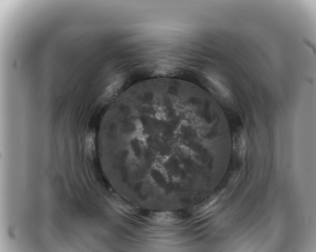 X0000095920127200801181426