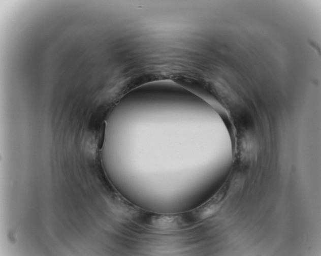 X0000095920129200801181426