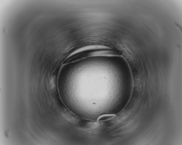 X0000095920131200801181426