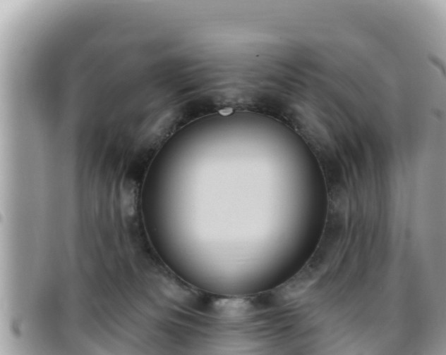 X0000095920133200801181426