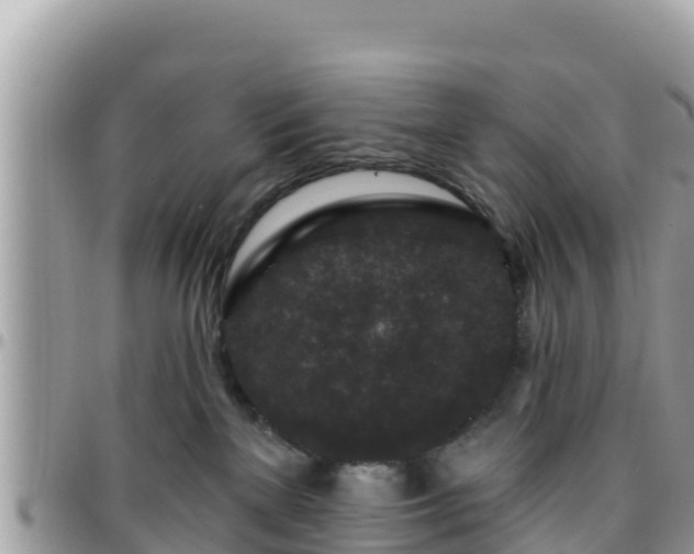 X0000095920137200801181426