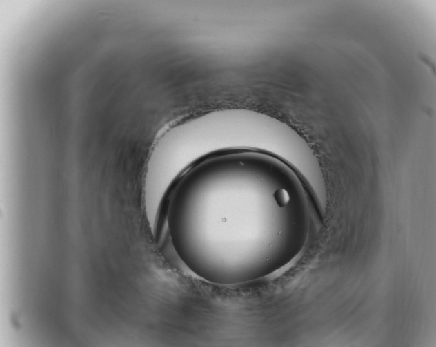 X0000095920144200801181426