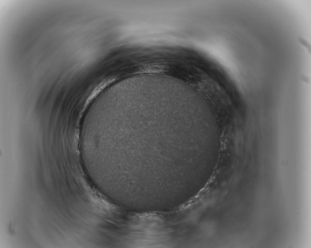 X0000095920146200801181425