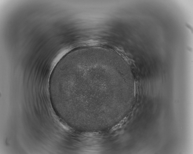 X0000095920147200801181425