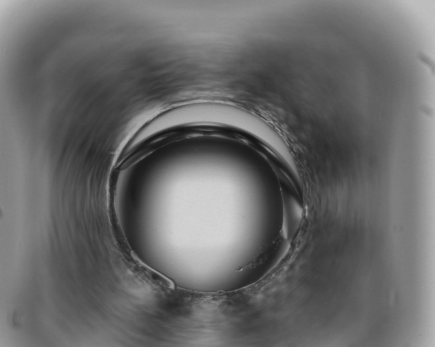 X0000095920148200801181425