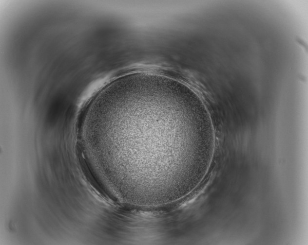 X0000095920149200801181425