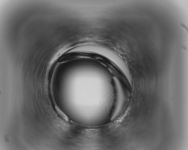 X0000095920150200801181425