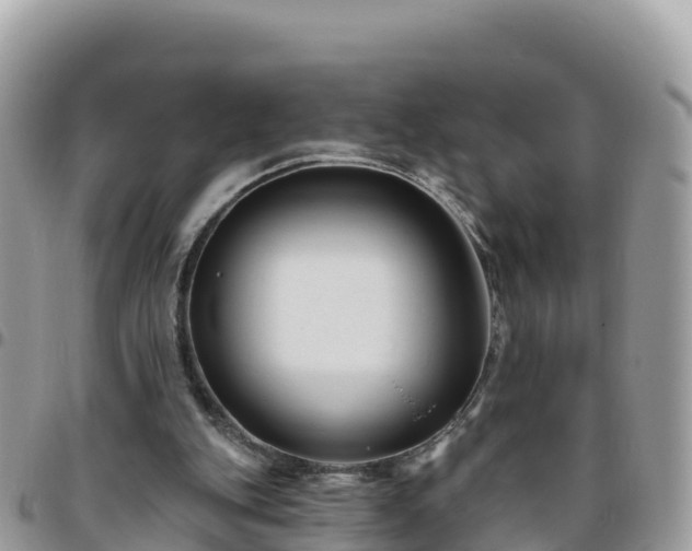 X0000095920151200801181425