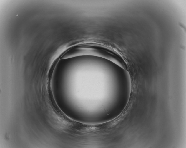 X0000095920152200801181425