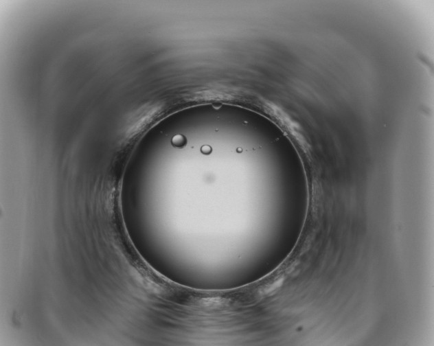 X0000095920153200801181425