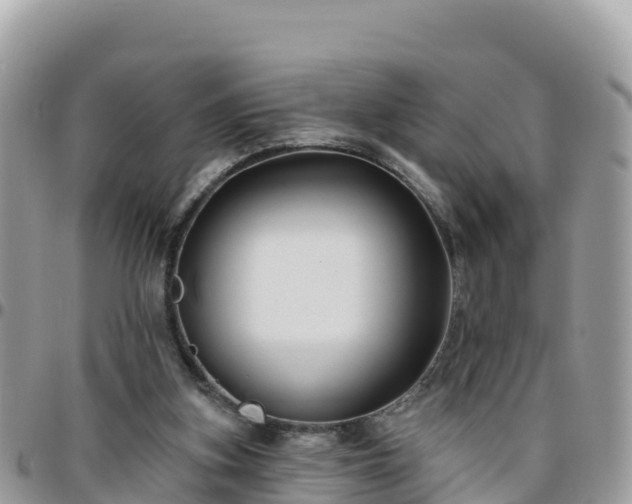 X0000095920155200801181425