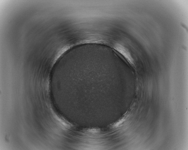 X0000095920156200801181425