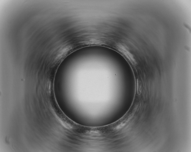 X0000095920157200801181425